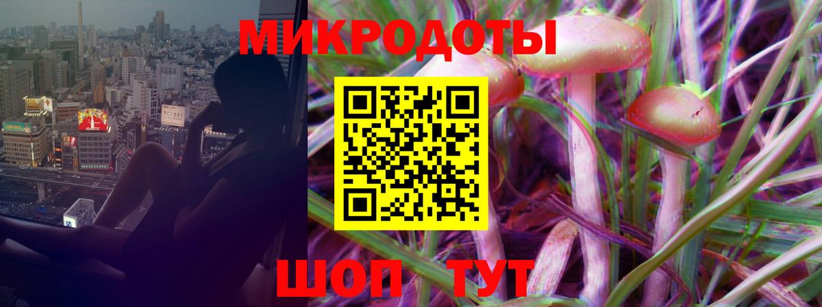 Псилоцибиновые грибы GOLDEN TEACHER  Вход с VPN  купить закладку  Киселёвск 