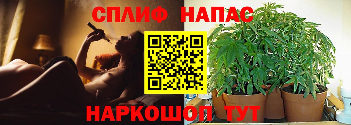 Марихуана Bruce Banner Киселёвск